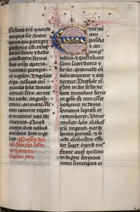 Evangelisk bok med evangelistporträtt: Dekorerad initial av Hausbuch Master