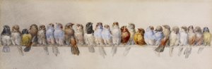 A Perch of Birds, ca 1880 (akvarell och grafit på papper)