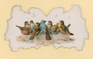 Fåglar (färg litho) av Hector Giacomelli
