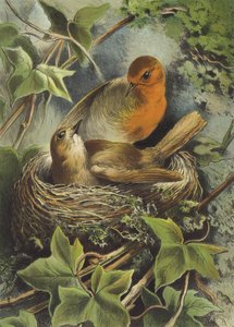 Robin och dess bo (chromolitho) av Hector Giacomelli