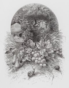 Insekten: Sniglar (gravyr) av Hector Giacomelli