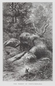 Insekten: Fontainebleaus skog (gravyr) av Hector Giacomelli