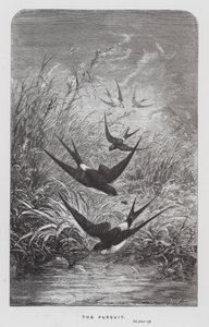 The Insect: The Pursuit (gravyr) av Hector Giacomelli