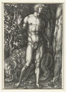 Adam av Heinrich Aldegrever