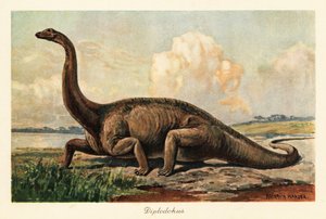 Utdöd Diplodocus longus på slätten.