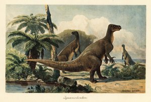 Iguanodon bernissartensis i en förhistorisk ormbunkeskog.