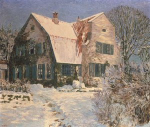Hus och trädgård under snö