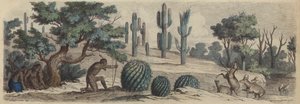 Colorado (färgad gravyr) av Heinrich Leutemann