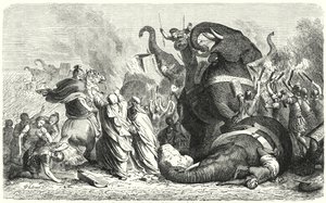 Slaget vid Asculum, 279 f.Kr. (gravyr) av Heinrich Leutemann