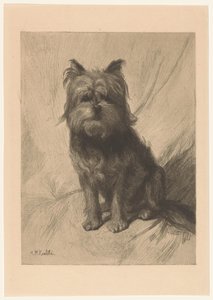 Holländsk smoushond av Heinrich M. Krabbé
