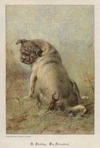 A Troublemaker (färgad gravyr) av Heinrich Sperling