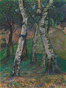 Björkar på Barkenhoff, 1913.