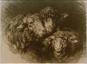 Får av Heinrich von Zügel