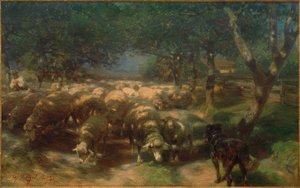 Flock får med hund