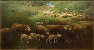 Flock får med lamm