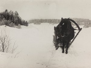 Första världskriget: 