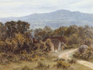 Bakhuvud från Sandhills, Witley