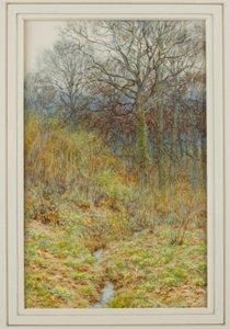 Our Primrose Wood, 1913 av Helen Allingham