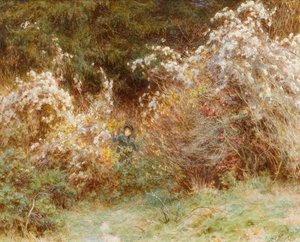 Travellers Joy: A Surrey Hedgerow (wc på papper) av Helen Allingham