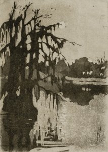 Cypress träd av Helen Hyde