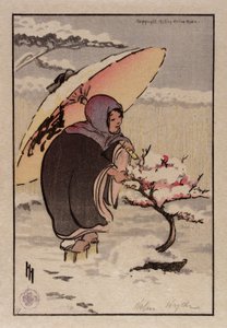 Lilla rosa plommon av Helen Hyde