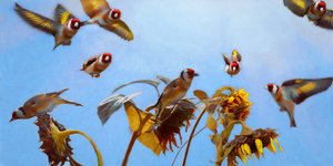 A Charm of Goldfinches, 2020 av Helen White