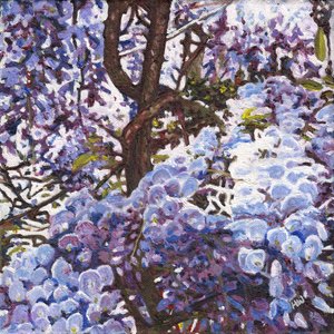 Blå blåregn, 2012 av Helen White