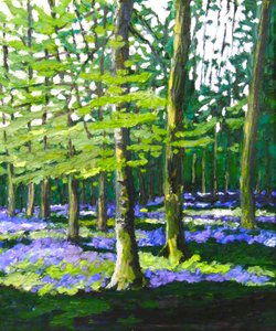 Bluebell Wood, 2009 (olja på duk) av Helen White