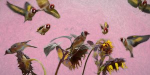 Charm on Pink, 2020 av Helen White