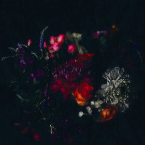 Mörkblommigt, 2019 av Helen White