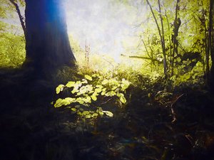 Hellig plats, 2018 av Helen White