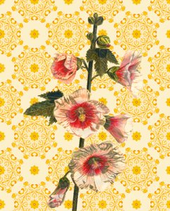 Hollyhocks on Sunshine, 2021 (akvarell) av Helen White