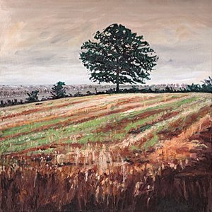 Sen eftermiddagsfält, 2009 av Helen White