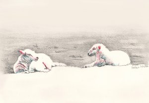 Tupplur, 2016, (pennteckning) av Helen White