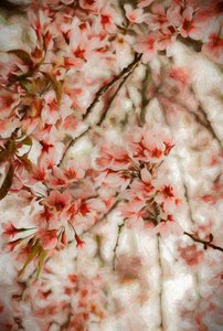 Orientalis, 2020 av Helen White