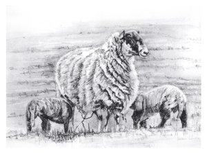  av Helen White