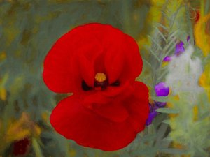 Scarlet, 2019 av Helen White