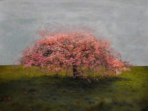 Fristående skönhet, 2019 av Helen White