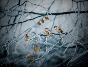 Myllrar av liv, 2019 av Helen White