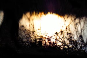 Vattentapet II, 2017, (manipulerad fotografi)