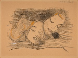 Bildboken av Helene Schjerfbeck