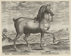 swedish av Hendrick Goltzius (possibly)