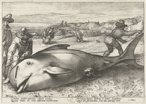 Strandad grindval på stranden vid Zandvoort, 1594 av Hendrick Goltzius (workshop of)