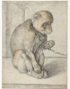 En sittande apa på en kedja Apa på en kedja, sittande av Hendrick Goltzius