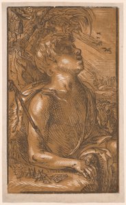 Sankt Johannes Döparen av Hendrick Goltzius