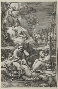 Passionen: ångesten i trädgården av Hendrick Goltzius