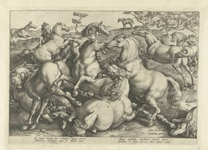 Tolv kamphästar Hästaraser från Royal Stables of Don Juan of Austria (serietitel) av Hendrick Goltzius