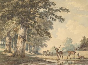 Rådjur under bokträd på vintern, 1853.