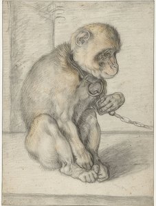 En sittande apa på en kedja. 1592-1602 av Hendrik Goltzius