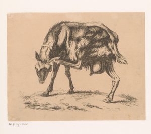Get kliar sig i huvudet av Hendrik Jozef Franciscus van der Poorten